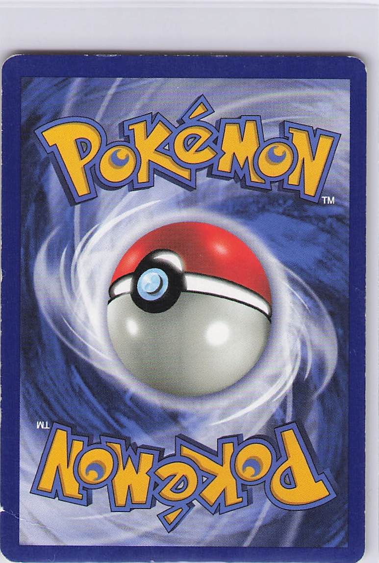 Rapidash (Back)