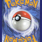Cubone (Back)