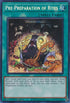 Pre-Preparation of Rites (Secret Rare)