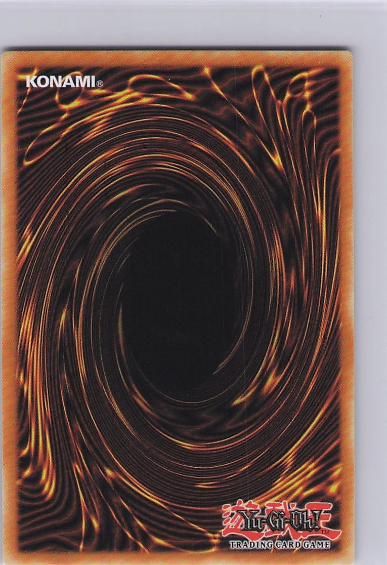 Black Rose Dragon (Platinum Secret Rare) (Back)