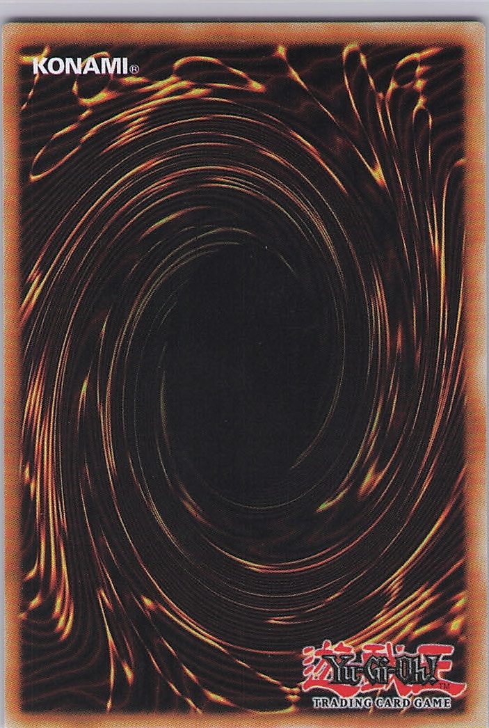 Solfachord Primoa (Back)