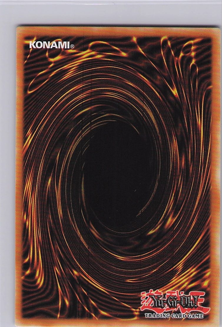 Ritual Beast Tamer Elder (Quarter Century Secret Rare) (Back)