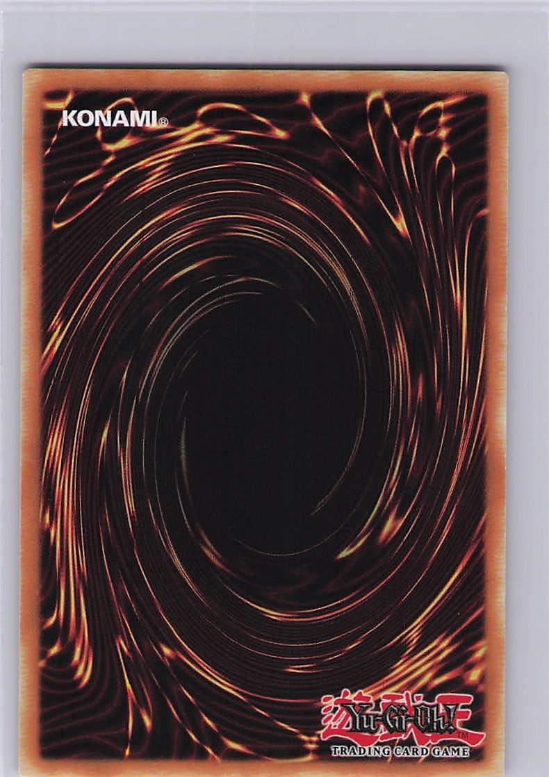Salvage (Back)