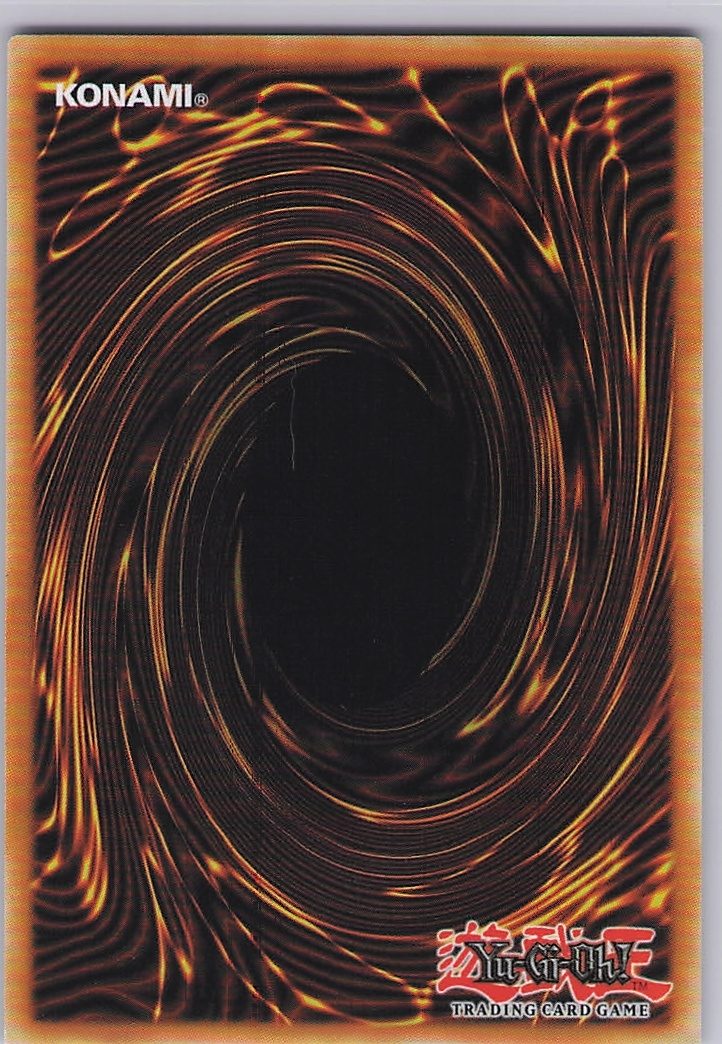 Vision HERO Faris (Quarter Century Secret Rare) (Back)