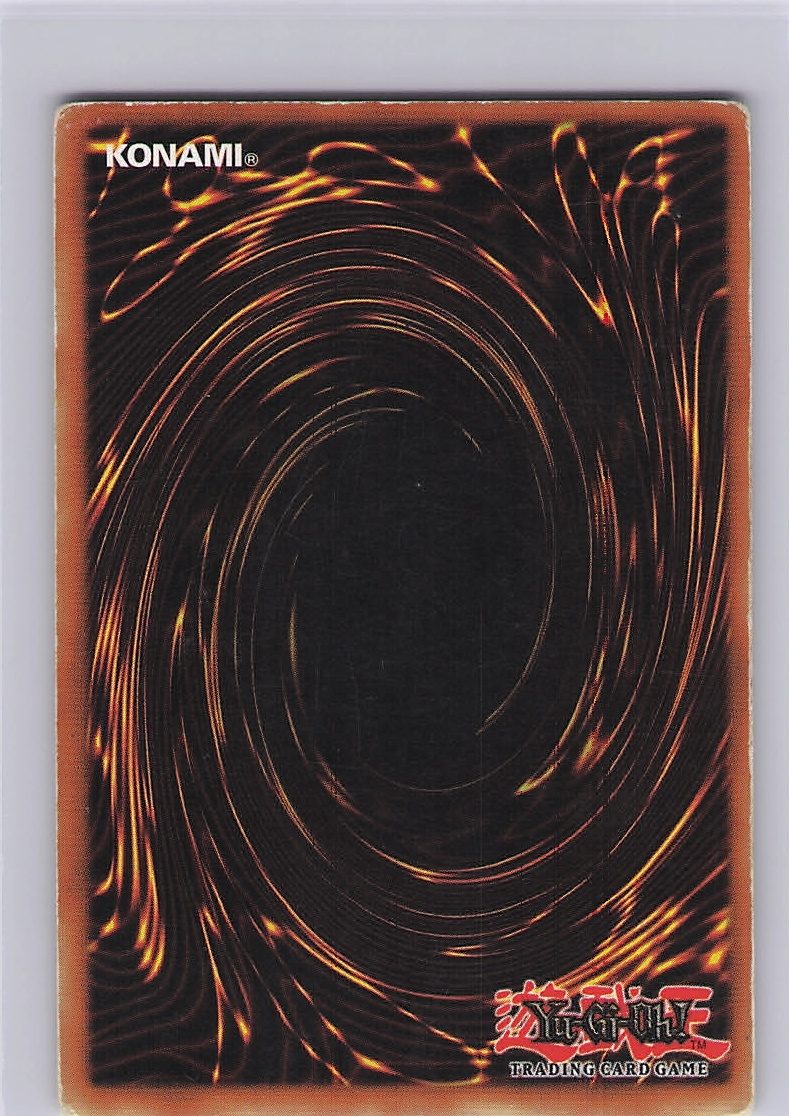 Chaos Sorcerer (Back)