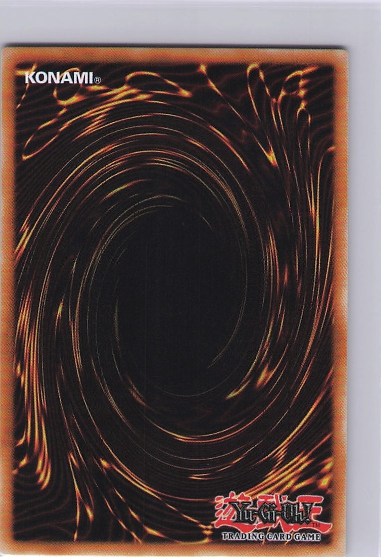 Ib the World Chalice Justiciar (Back)