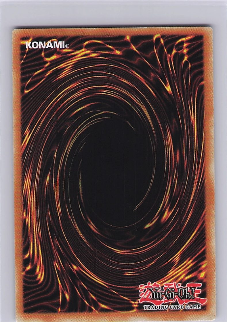 Chaos Sorcerer (Back)