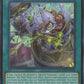 Whirlwind Fur Hire