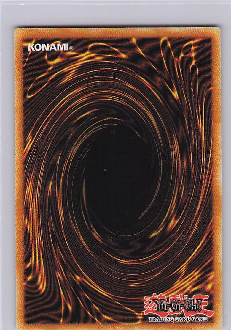 Ash Blossom & Joyous Spring (Back)