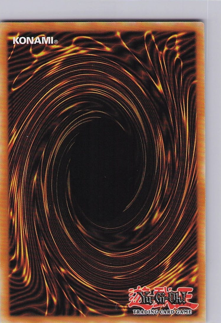 Magician's Salvation (Secret Rare) (Back)