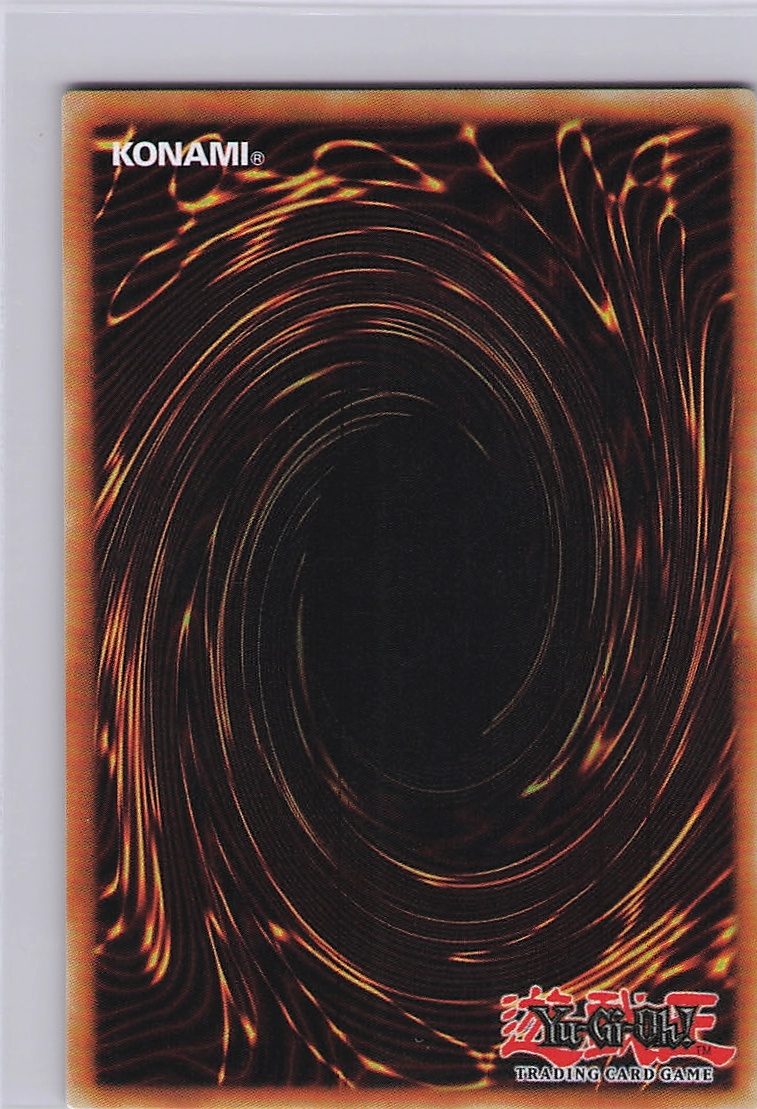 Schwarzschild Infinity Dragon (Back)