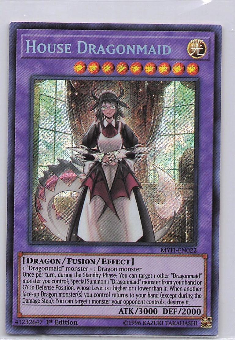 House Dragonmaid