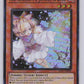 Ash Blossom & Joyous Spring